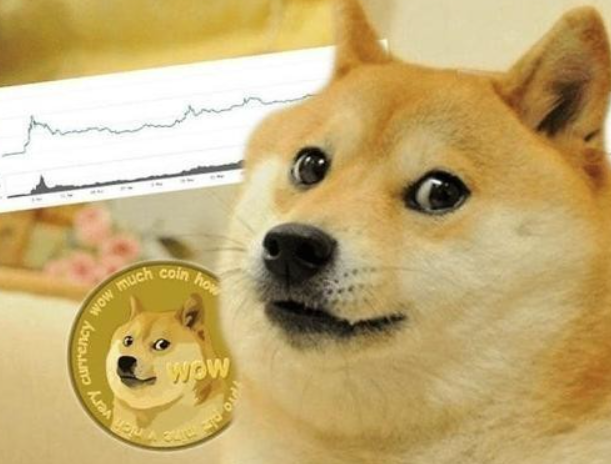 doge狗狗币矿机_doge币是什么意思_doge币