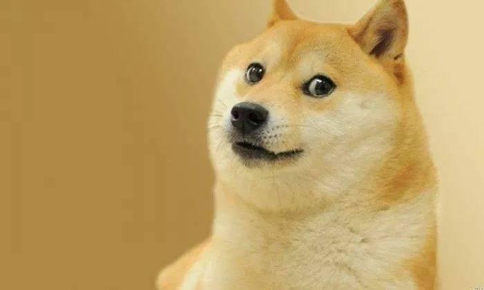 狗狗币一周狂涨500％_马斯克最新推文狗狗币_马斯克带火狗狗币