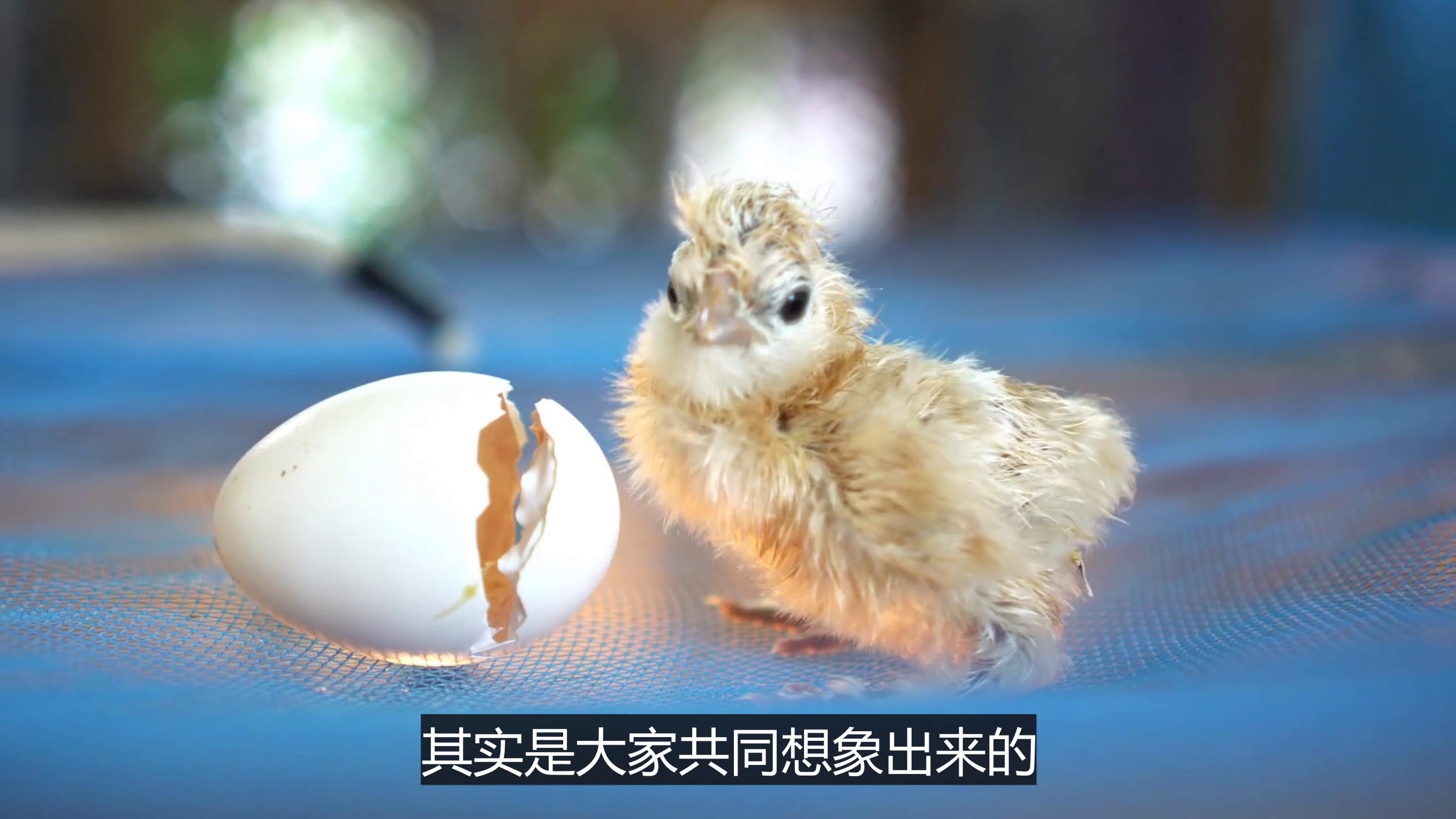 比特币为何值钱_比特币靠什么盈利_价值是如何被建立的