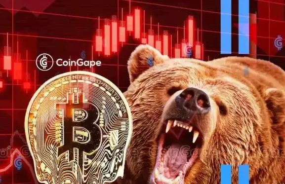 比特币价格大幅波动，下跌原因成关注焦点？未来趋势待察