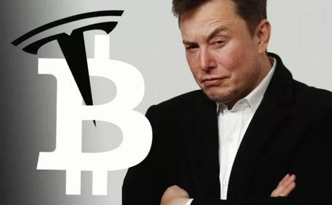 狗狗币今日实时最新价格_狗狗币2025会涨到多少_狗狗币