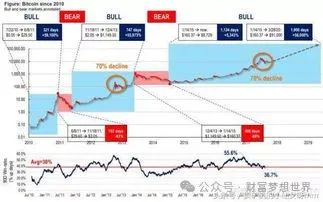 2024年比特币疯狂表现回顾：价格突破10万美元大关，涨幅高达110%