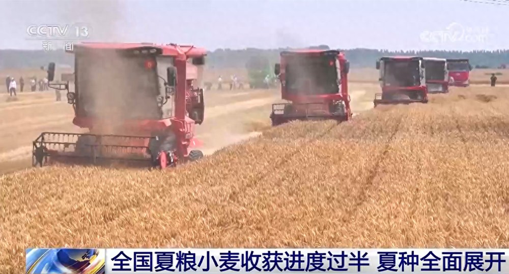 全国夏粮小麦大规模机收向北推进，进度过半夏种全面展开