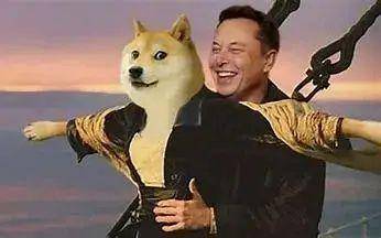 狗狗币成功的原因_狗狗币是谁发明的_狗狗币暴涨原因