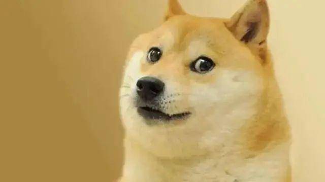 狗狗币是谁发明的_狗狗币成功的原因_狗狗币暴涨原因