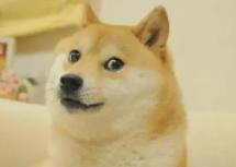 币圈水深别被骗！3大投资陷阱揭秘，如何避免当韭菜？