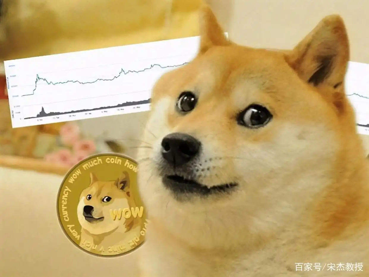 币圈疯狂！比特币10年涨15万倍，狗狗币等新贵崛起