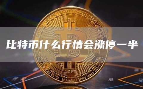 比特币涨价概念股票_比特币涨停什么意思_比特币有涨停板吗