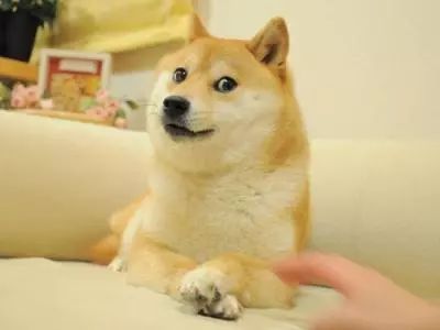 狗狗币是谁发明的_狗狗币的市值发展_狗狗币的诞生背景
