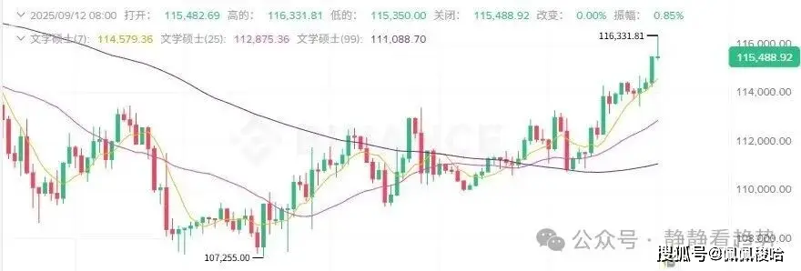 加密货币爆仓情况_比特币价格飙升_加密货币市场上涨原因