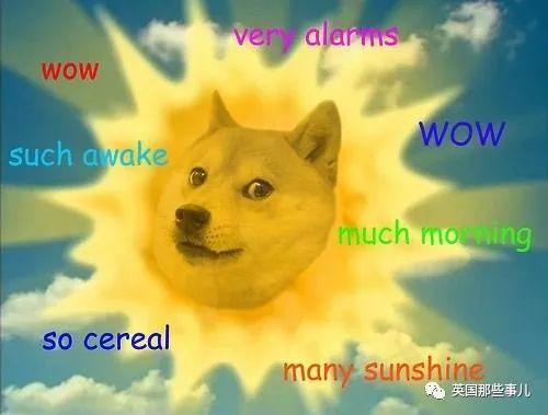 当年嘲讽比特币的Doge币现在居然市值16亿美元，这一路厉害了