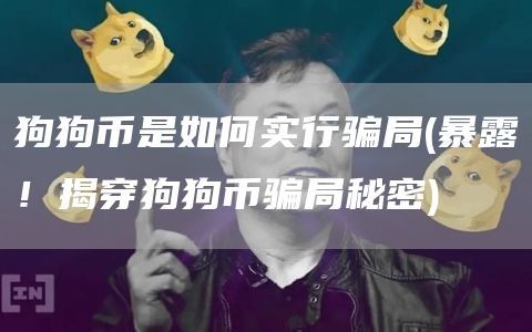 揭露狗狗币骗局秘密：背景、运作方式及风险解析