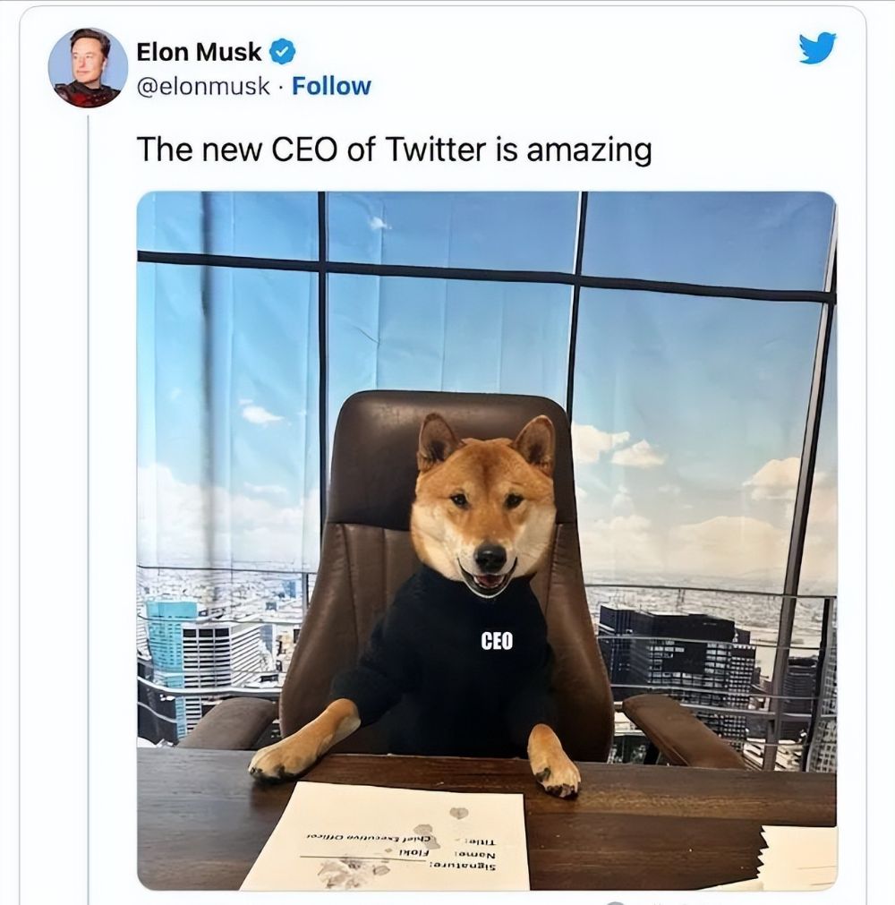 特斯拉将接受DOGE支付，狗狗币价格短时拉升后回落