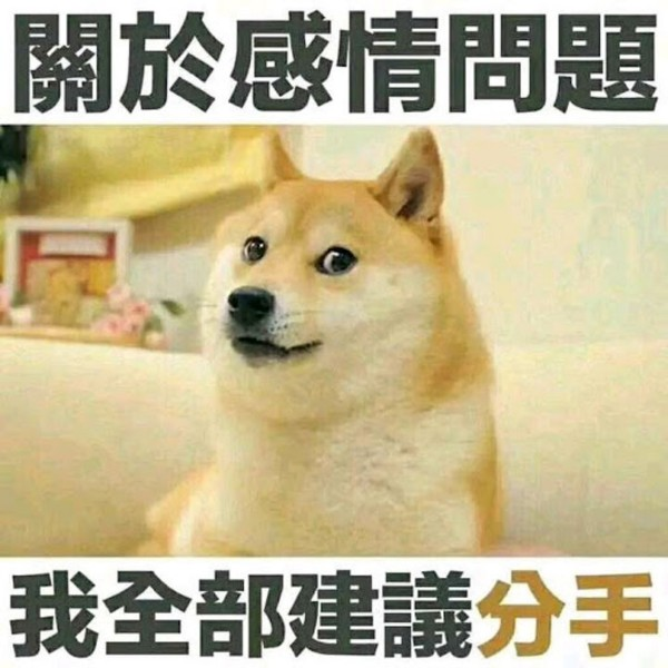 Adobe员工讽刺加密货币泛滥，狗狗币诞生引发网友回响