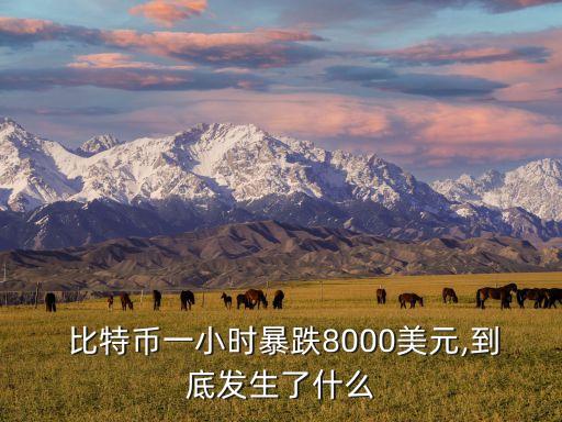 比特币价格暴跌超8000美元，背后原因究竟是什么？