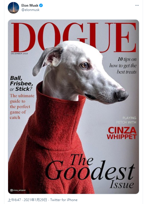 马斯克对狗狗币的影响_狗狗币价格暴跌原因_马斯克买了30亿美元狗狗币