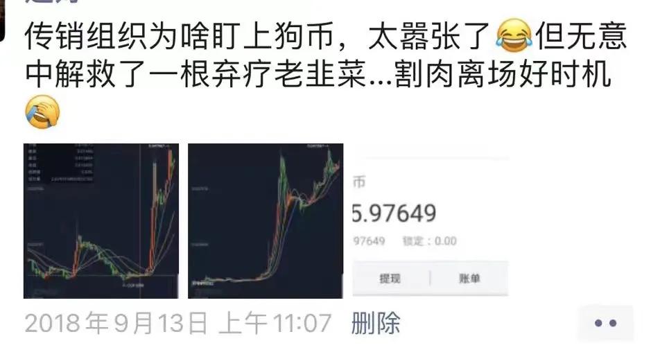 狗狗币投资者故事_狗狗币价格暴涨_狗狗币到底是不是骗局