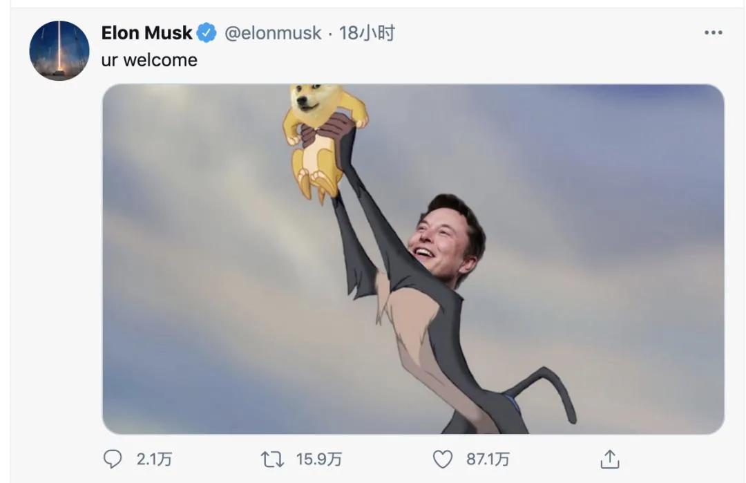 狗狗币到底是不是骗局_狗狗币价格暴涨_狗狗币投资者故事