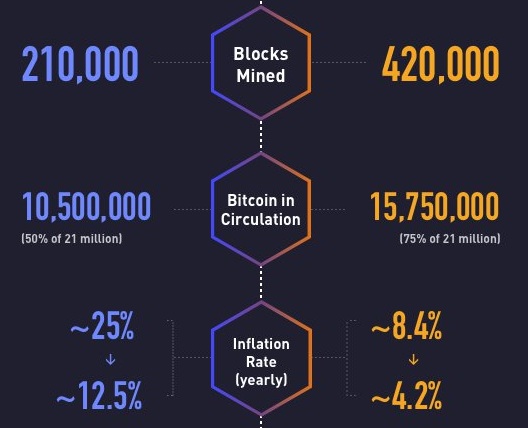比特币价格涨幅_比特币行情走势图十年_比特币规模成长