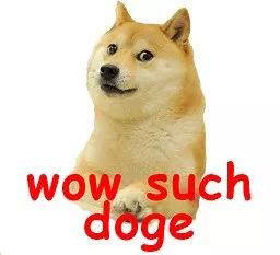 狗狗币一周暴涨60%_马斯克买了30亿美元狗狗币_比特币突然暴力拉升