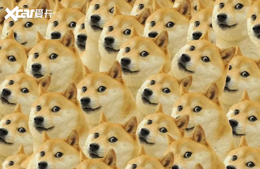 马斯克对狗狗币的影响_狗狗币价格走势_马斯克买了30亿美元狗狗币