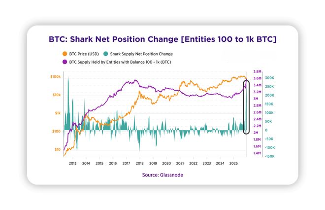 比特币行情分析_2026年比特币发展方向_2025年末比特币走势